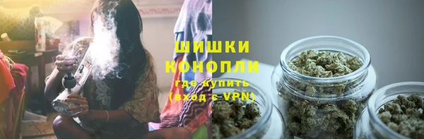 шишки Аркадак