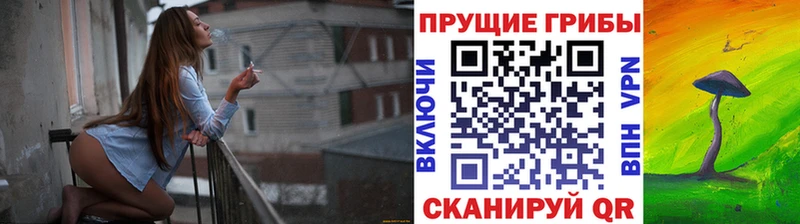 Псилоцибиновые грибы Magic Shrooms  Новодвинск 
